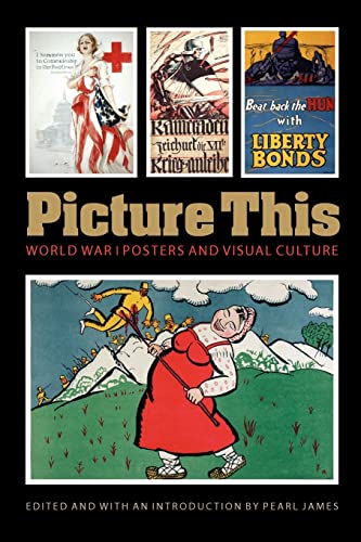 Picture This: World War I Posters and Visual Culture (Studies in War, Society, and the Militar)